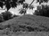 2012-07-06 12.41.17